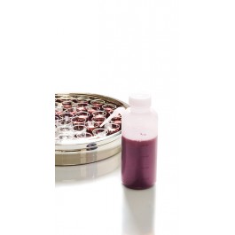 Botella para llenar vasos con dispensador lateral - Santa Cena