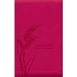Biblia de promesas. Manual. Letra grande. 2 tonos. Fucsia. Cremallera. Índice - RVR60