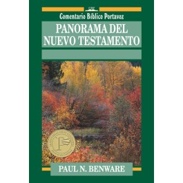 Panorama del Nuevo Testamento