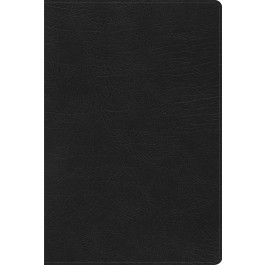 Biblia de estudio arco iris. Imitación piel. Negro. Índice - RVR60