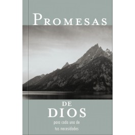 Promesas de Dios para cada una de tus necesidades