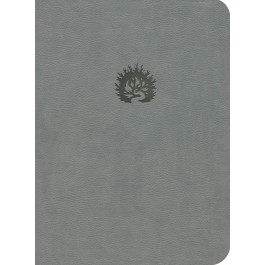 Biblia de la reforma. Imitación piel. Gris - LBLA