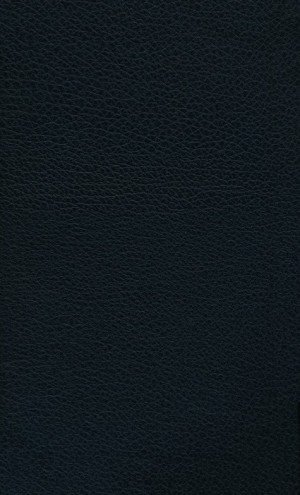 Biblia manual. Letra grande. Ultrafina. Piel especial. Negro. Cremallera - RVR60