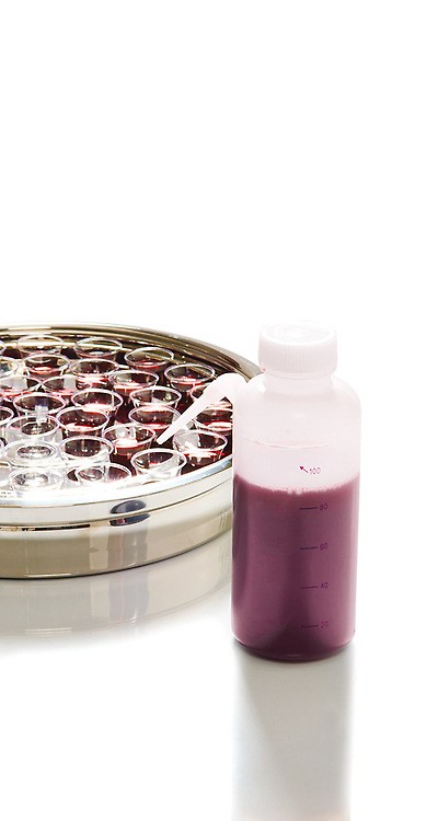 Botella para llenar vasos con dispensador lateral - Santa Cena