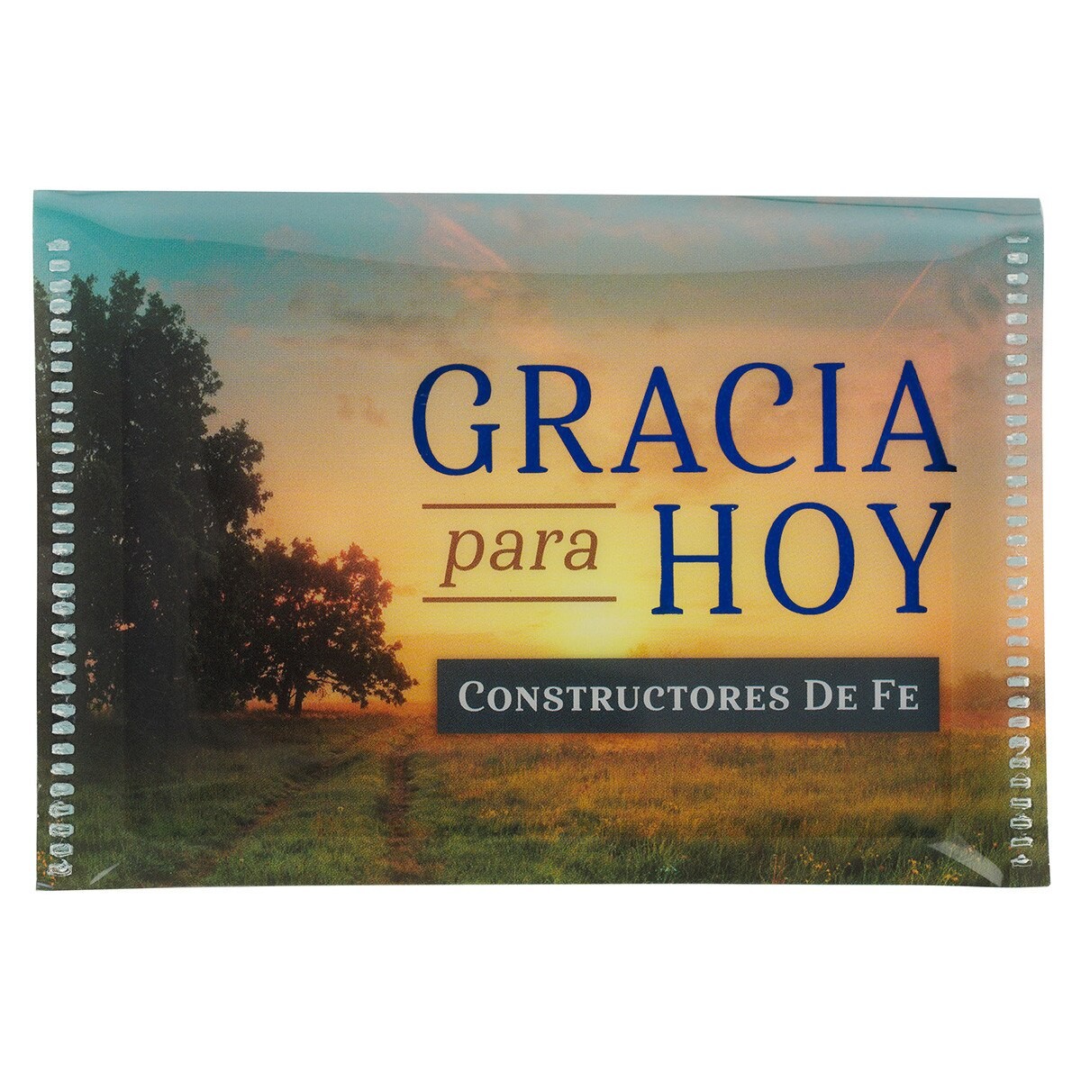 Gracia para hoy (20 tarjetas)