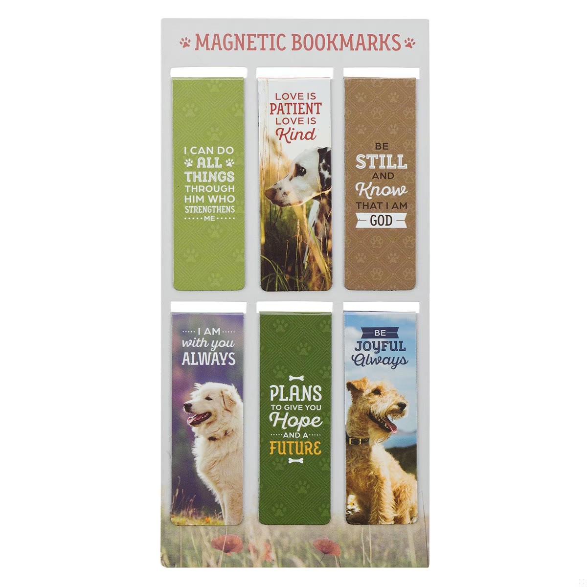 Juego de marcadores magnéticos Pawsitive encouragement (pack de 6) (inglés)