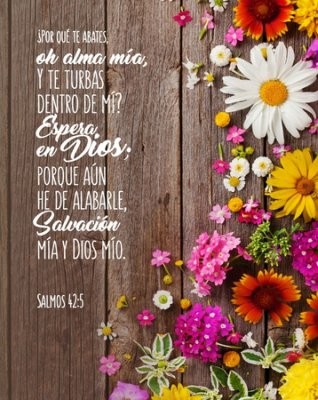 Placa cristal Salmos 42:5