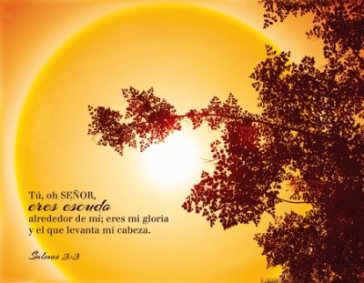 Cuadro LED Salmo 3:3