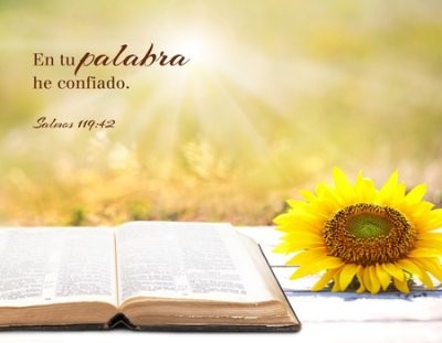 Cuadro LED Salmo 119:42