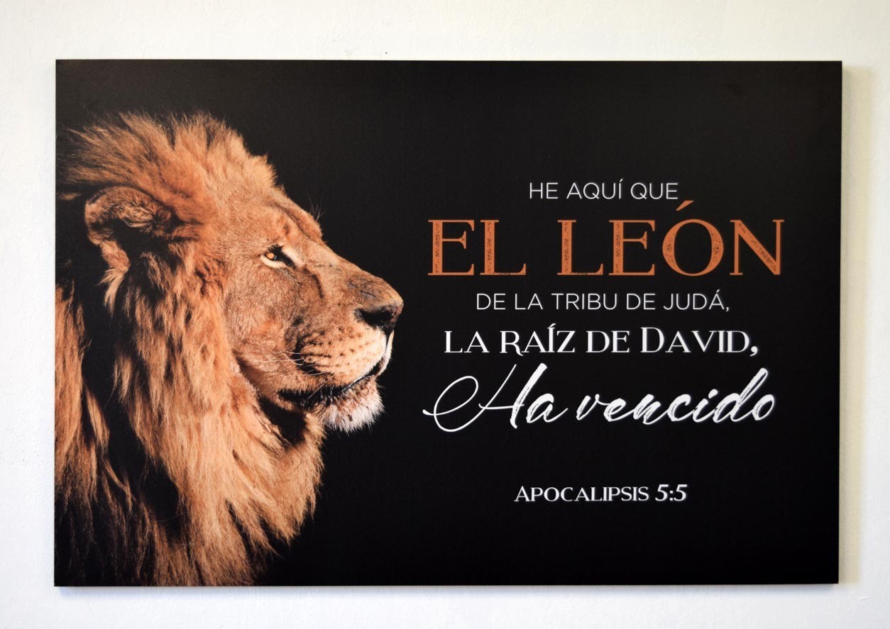 Cuadro canvás León (Apocalipsis 5:5)