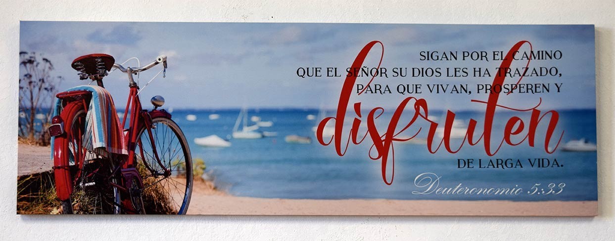 Cuadro Disfruta (Deteuronomio 5:33)