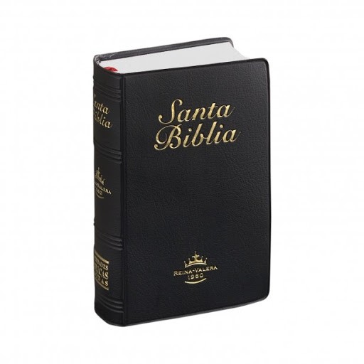 Biblia mini bolsillo. Plástico. Rojizo - RVR60
