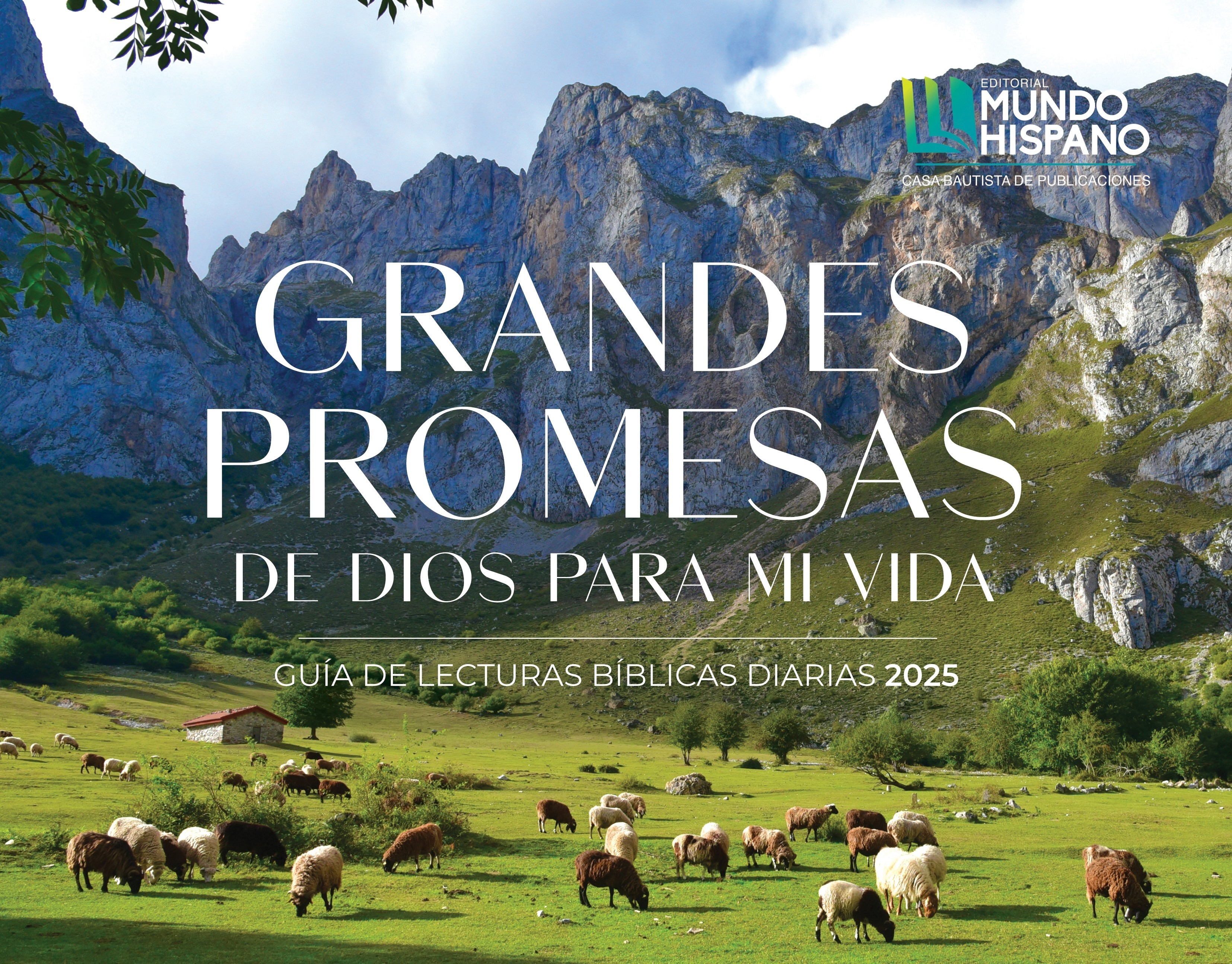 Grandes promesas de Dios para mi vida - RVA