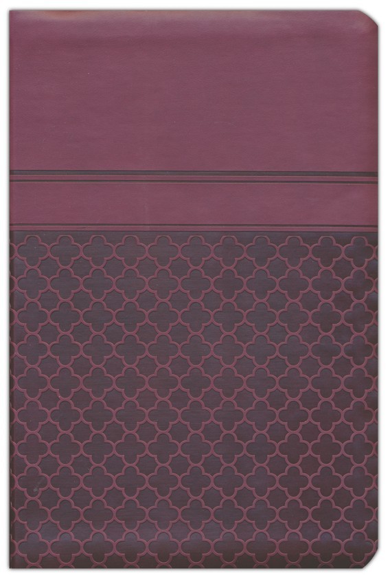 RVA2015LETGRANDEIMITPIEL-GUINDA