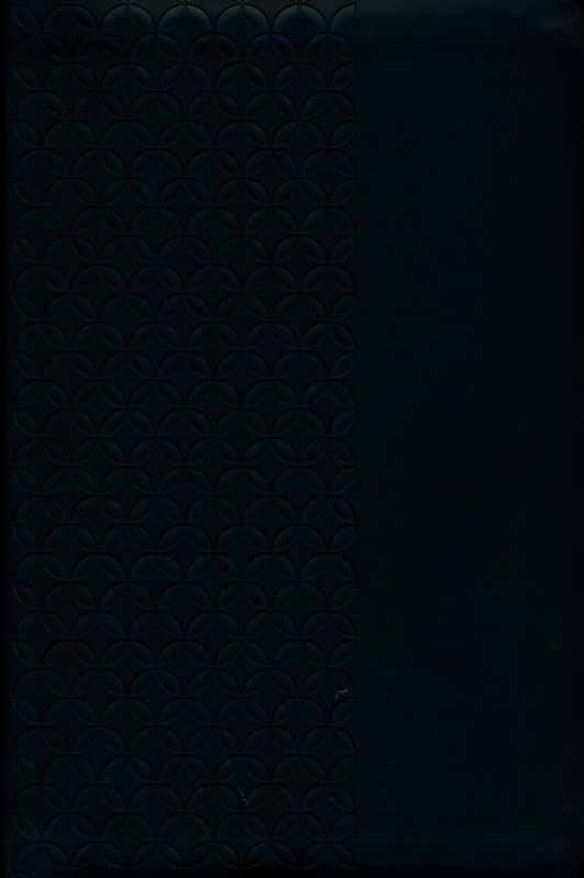 RVA2015LETGRANDEIMITPIELNEGRAINDIC