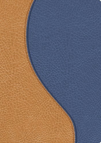 Biblia de promesas. Compacta. 2 tonos. Azul/beige - RVR60