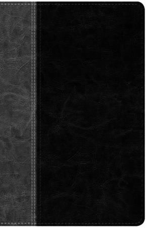 Biblia. 2 tonos. Negro/gris. Índice - NTV