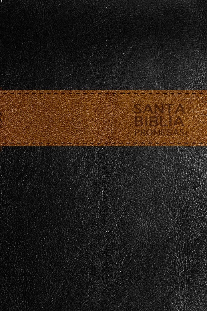 Biblia de promesas. 2 tonos. Negro/café - NTV
