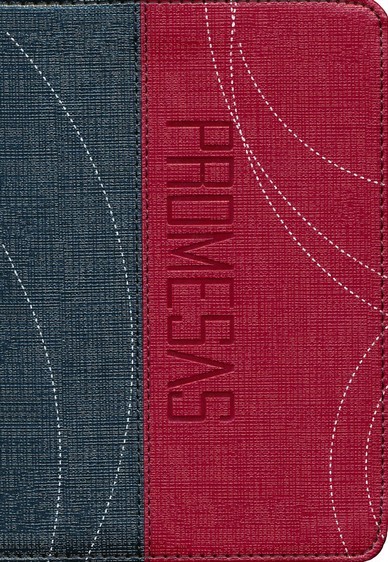 Biblia de promesas. Compacta. 2 tonos. Gris/rojo - RVR60