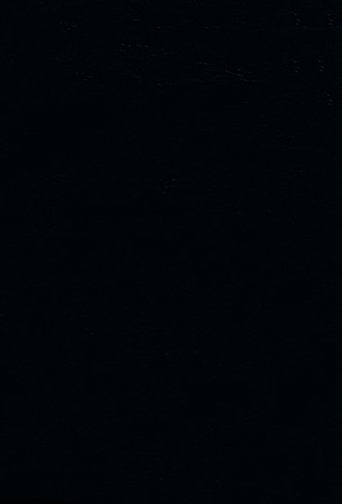 Biblia de Promesas. Compacta. Piel especial. Negra. Cremallera - RVR60