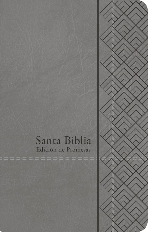 Biblia de promesas. Manual. Letra grande. 2 tonos. Gris - RVR60