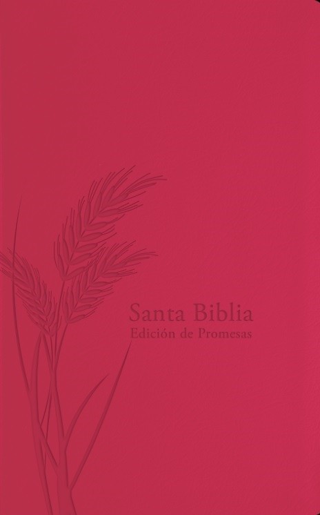 Biblia de promesas. Manual. Letra grande. 2 tonos. Fucsia. Cremallera - RVR60