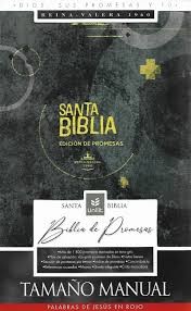 Biblia de promesas. Manual. Letra grande. 2 tonos. Negro. Cremallera. Índice - RVR60