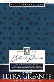 Biblia de promesas. Grande. Letra gigante. 2 tonos. Azul. Cremallera. Índice - RVR60