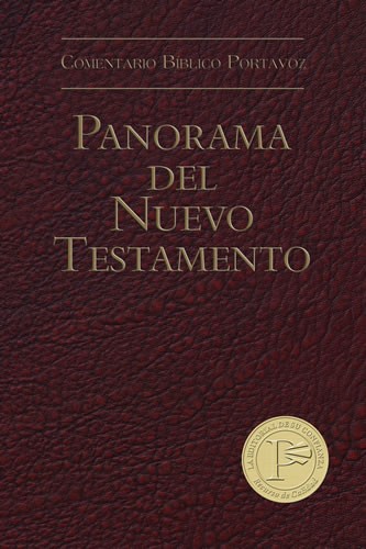 Panorama del Nuevo Testamento