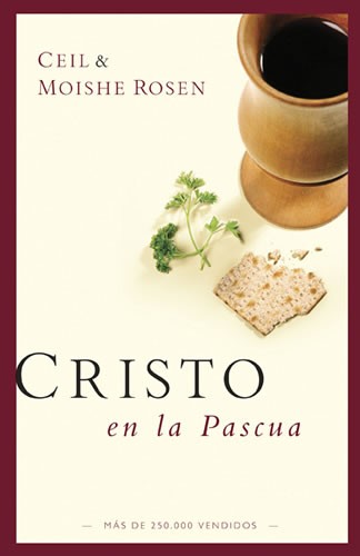Cristo en la Pascua