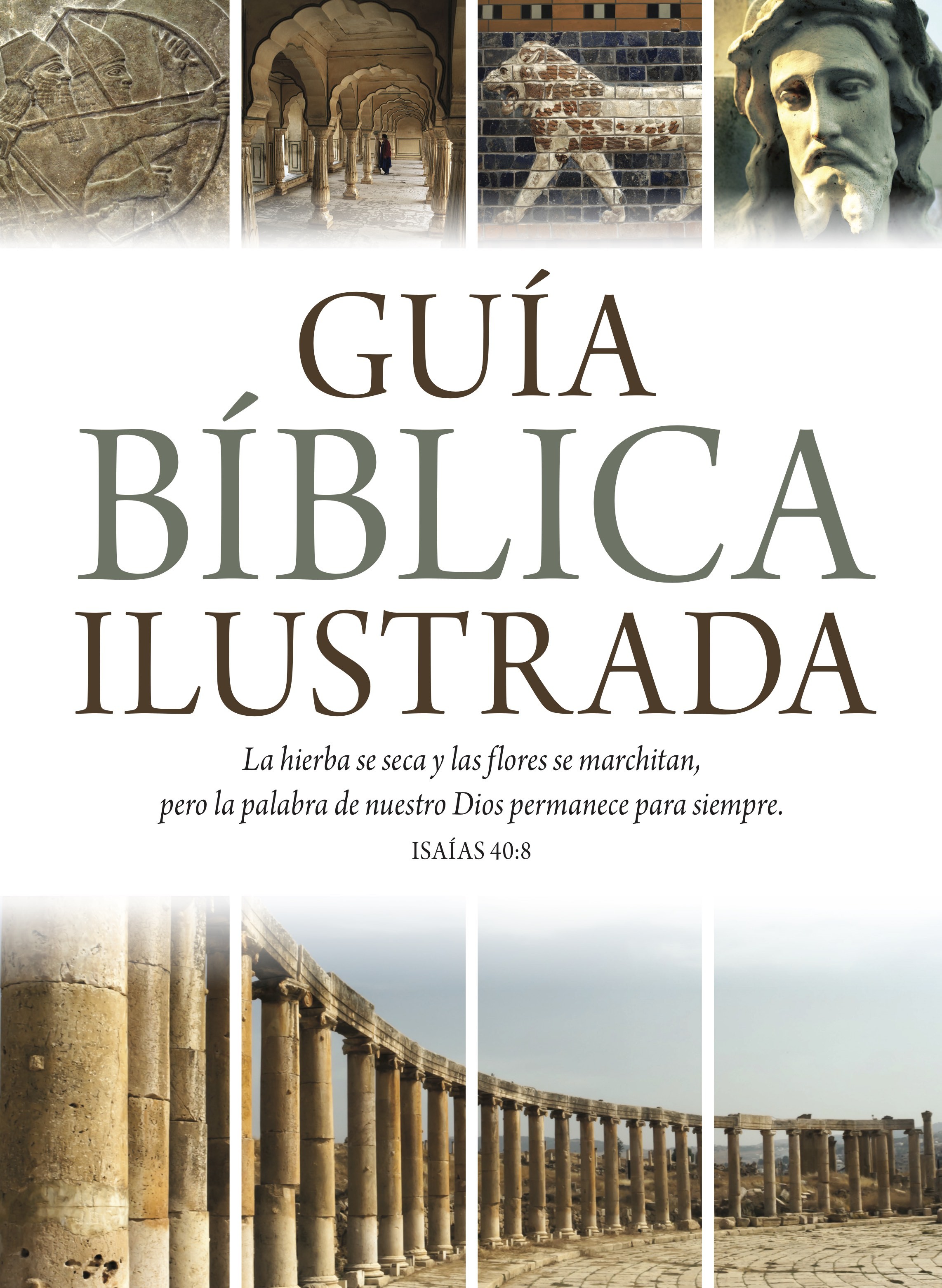 Guía bíblica ilustrada