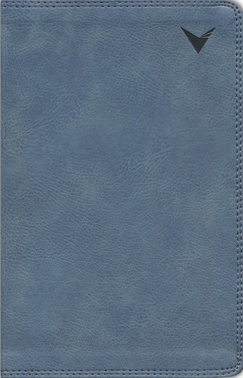 Biblia de estudio. Imitación piel. Gris - NBLA