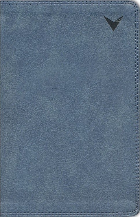 Biblia de estudio. Imitación piel. Gris. Índice - NBLA