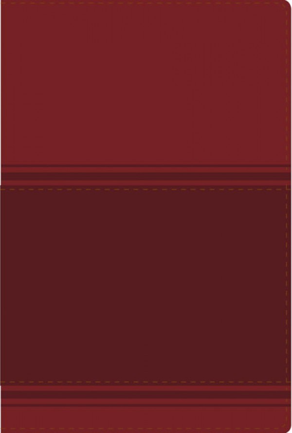 Biblia lectura fácil. Letra grande. 2 tonos. Rojo - NVI