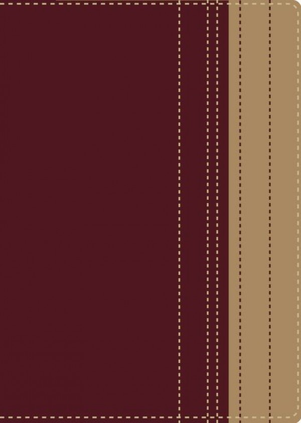 Biblia lectura fácil. Letra grande. Rojo/marrón - RVR77