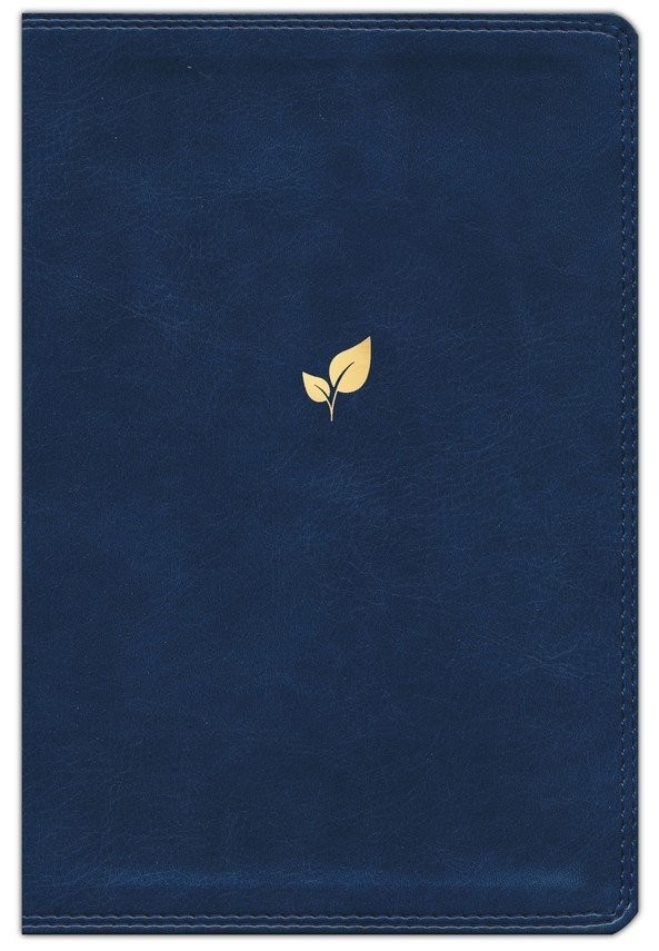 Biblia Palabra de aliento. Imitación piel. Azul - NVI