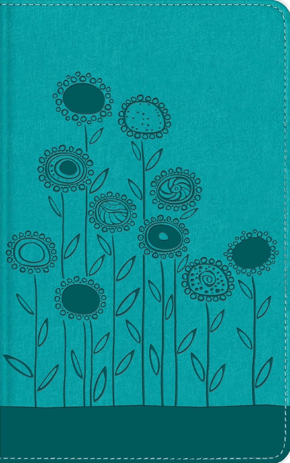 Biblia Visual de estudio para niños. 2 tonos. Turquesa - NBLA