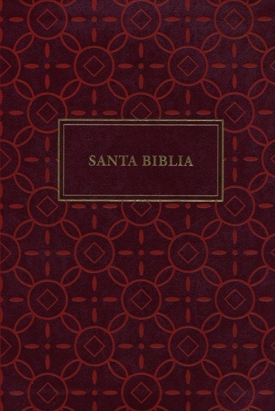 Biblia grande. Letra gigante. 2 tonos. Neutral - RVR60