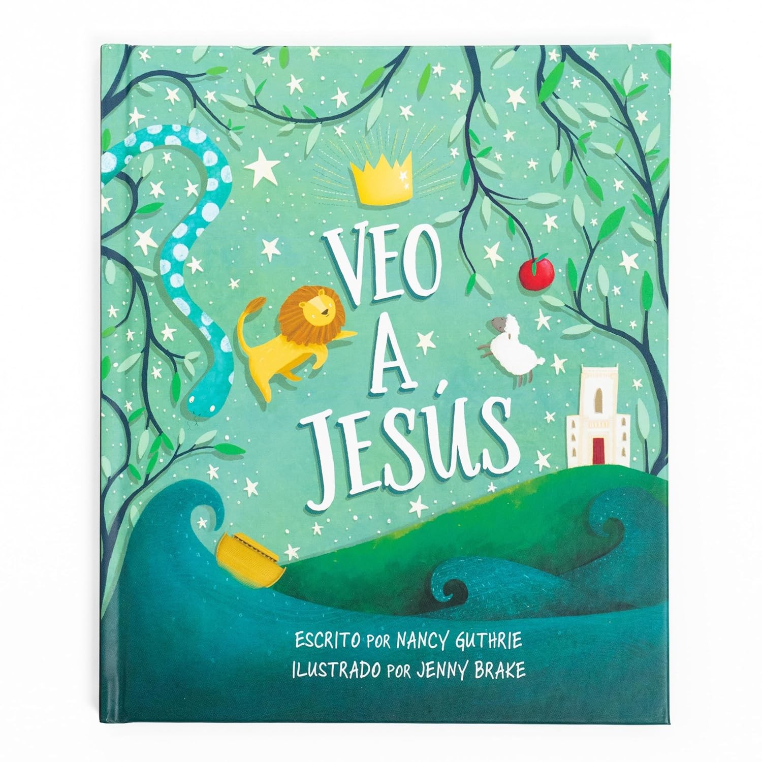Veo a Jesús