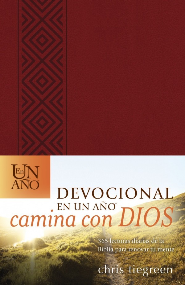 Devocional en un año camina con Dios