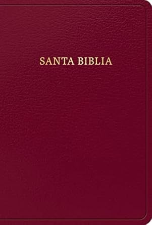 Biblia manual. Letra grande. Imitación piel. Borgoña - RVR60