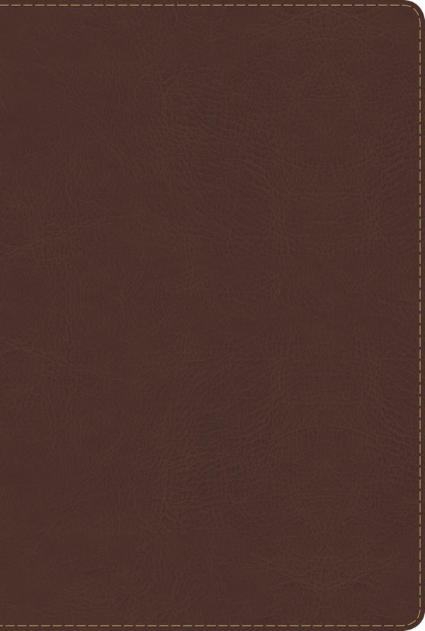 RVR 1960 Biblia de Estudio Arco Iris, chocolate símil piel