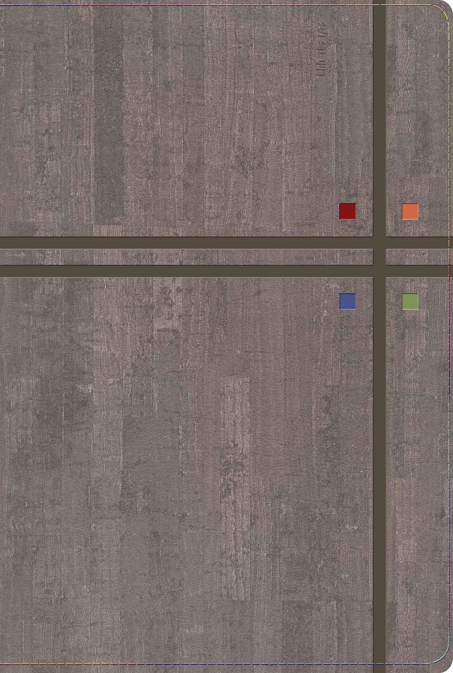 RVR 1960 Biblia de Estudio Arco Iris, gris pizarra/oliva símil piel con índice