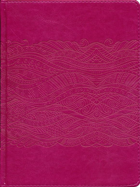 RVR 1960 Biblia de apuntes, edición ilustrada, símil piel rosado
