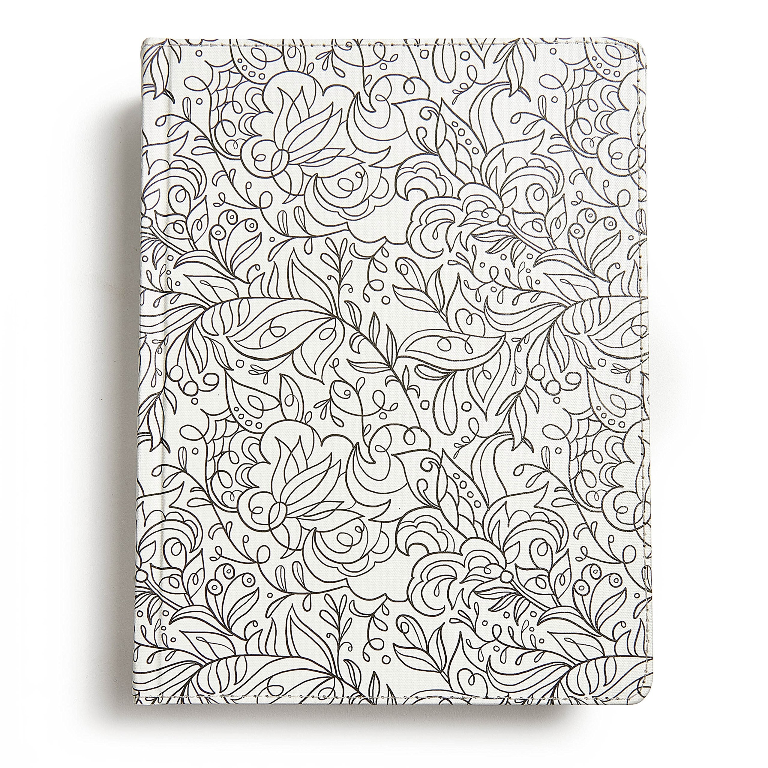 RVR 1960 Biblia de apuntes, edición ilustrada, blanco en tela para colorear