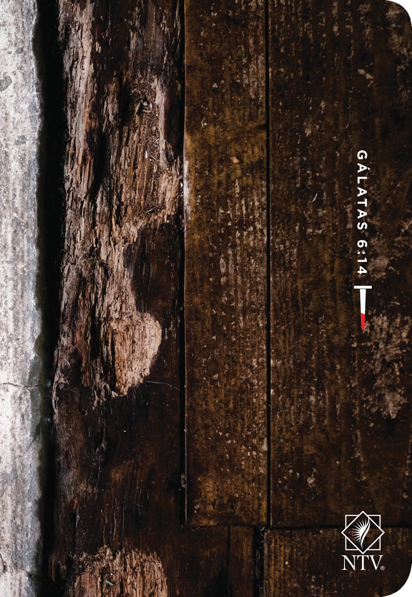 Biblia compacta. Letra grande. 2 tonos. Madera - NTV