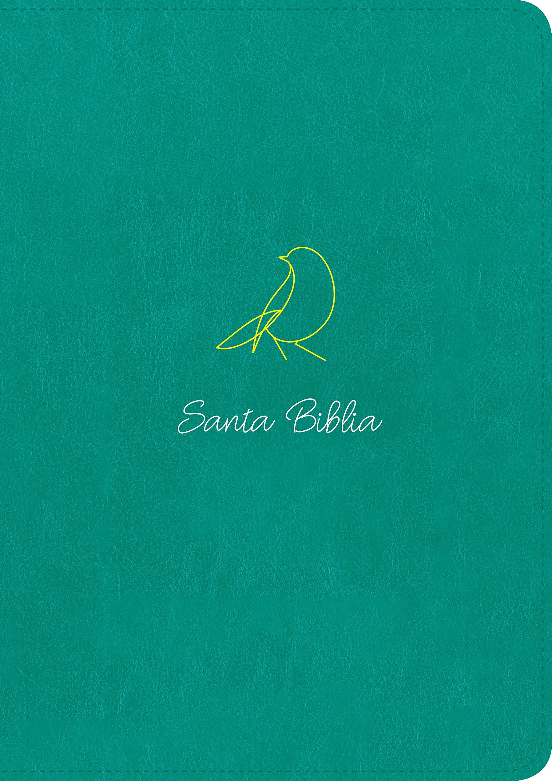 Biblia grande. Letra grande. 2 tonos. Turquesa. Cremallera - NTV