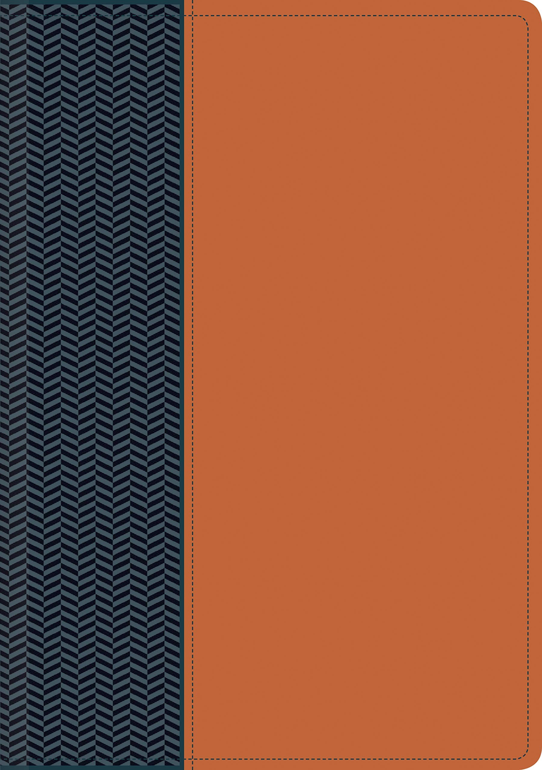 Biblia del diario vivir. 2 tonos. Azul/marrón - NTV