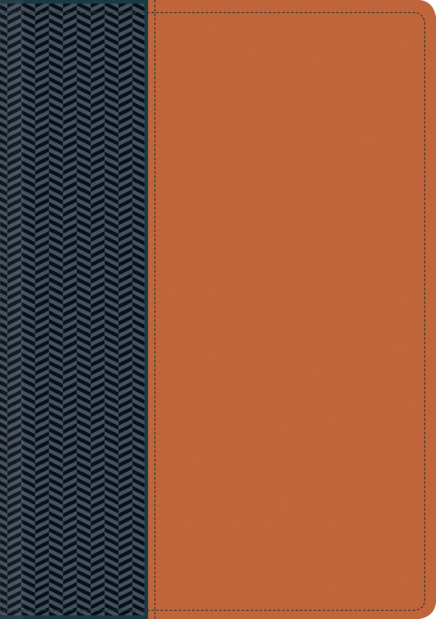 Biblia del diario vivir. 2 tonos. Azul/marrón. Índice - NTV