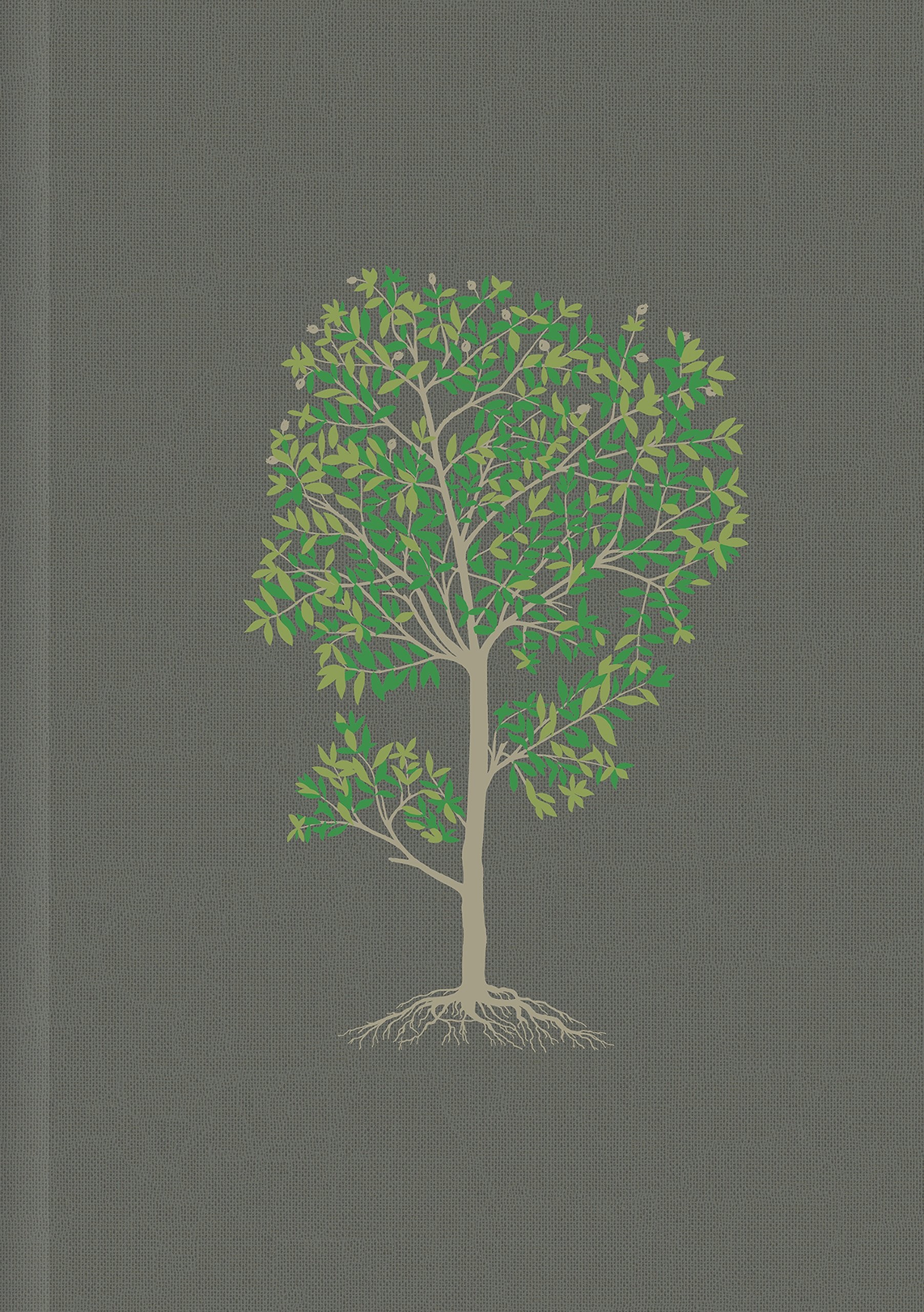 Biblia del diario vivir. Tapa dura entelada. Gris. Índice - NTV